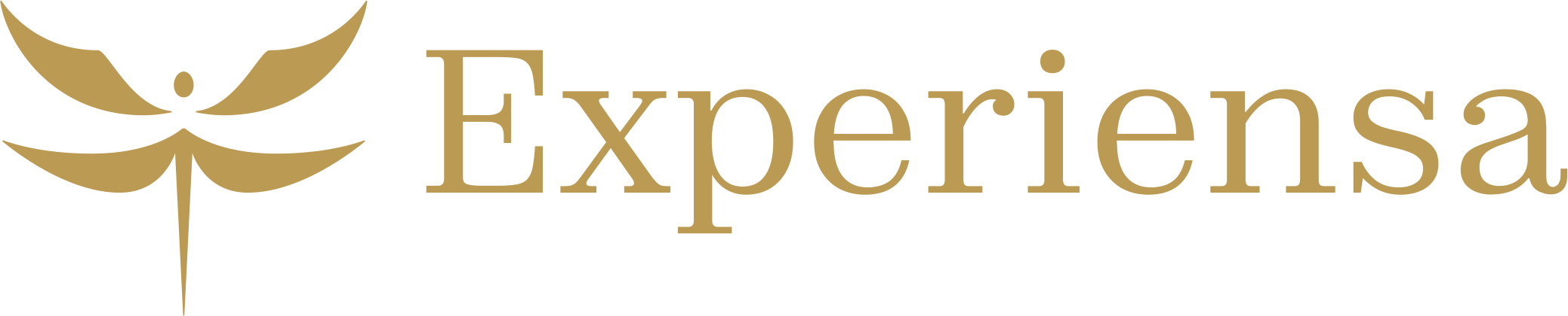 Experiensa